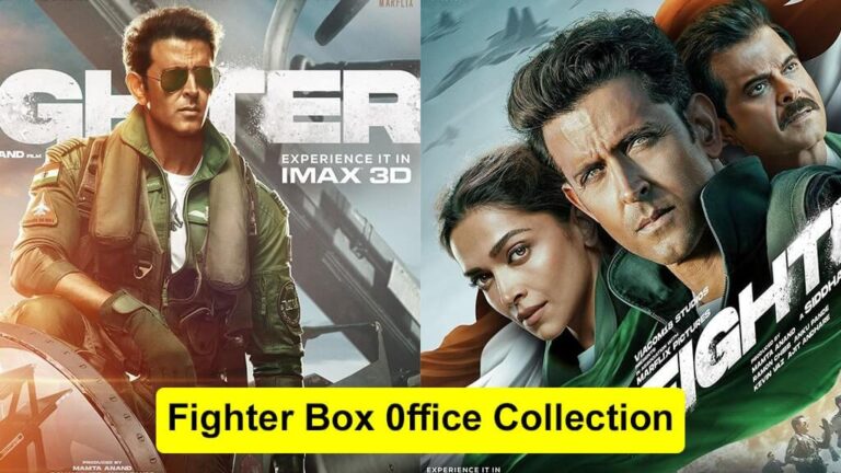 Fighter Box 0ffice Collection