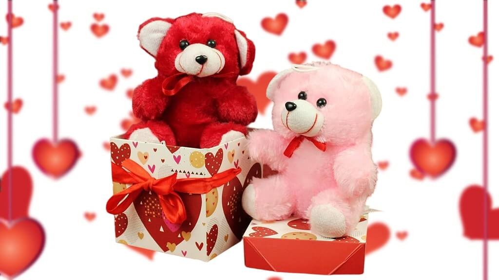 Valentine Day Gifts Under 1000