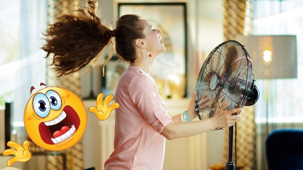 Cooling Fan