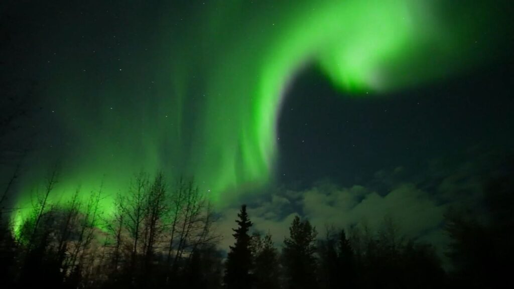 North Texans Enjoy Summer